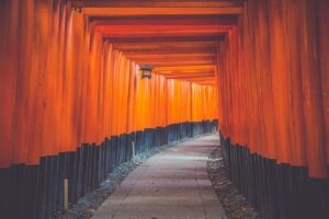 京都の神社でおすすめの結婚式はどこですか？