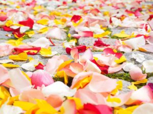 東京で結婚式場をいつまでに決めるべきかのポイントは？