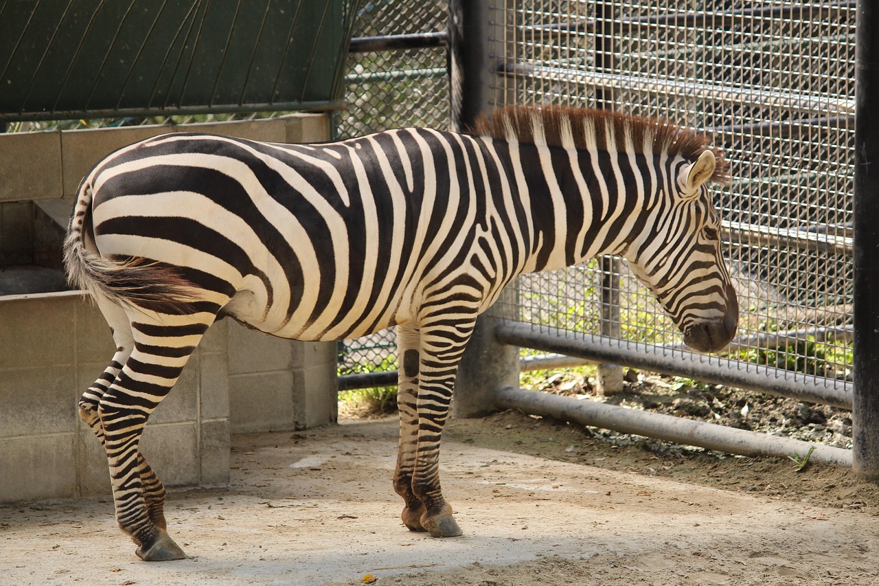 福岡のブライダルフェアは予約をいつするのがベスト？