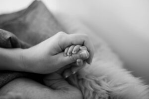 家族婚は何人まで参加可能なのか？