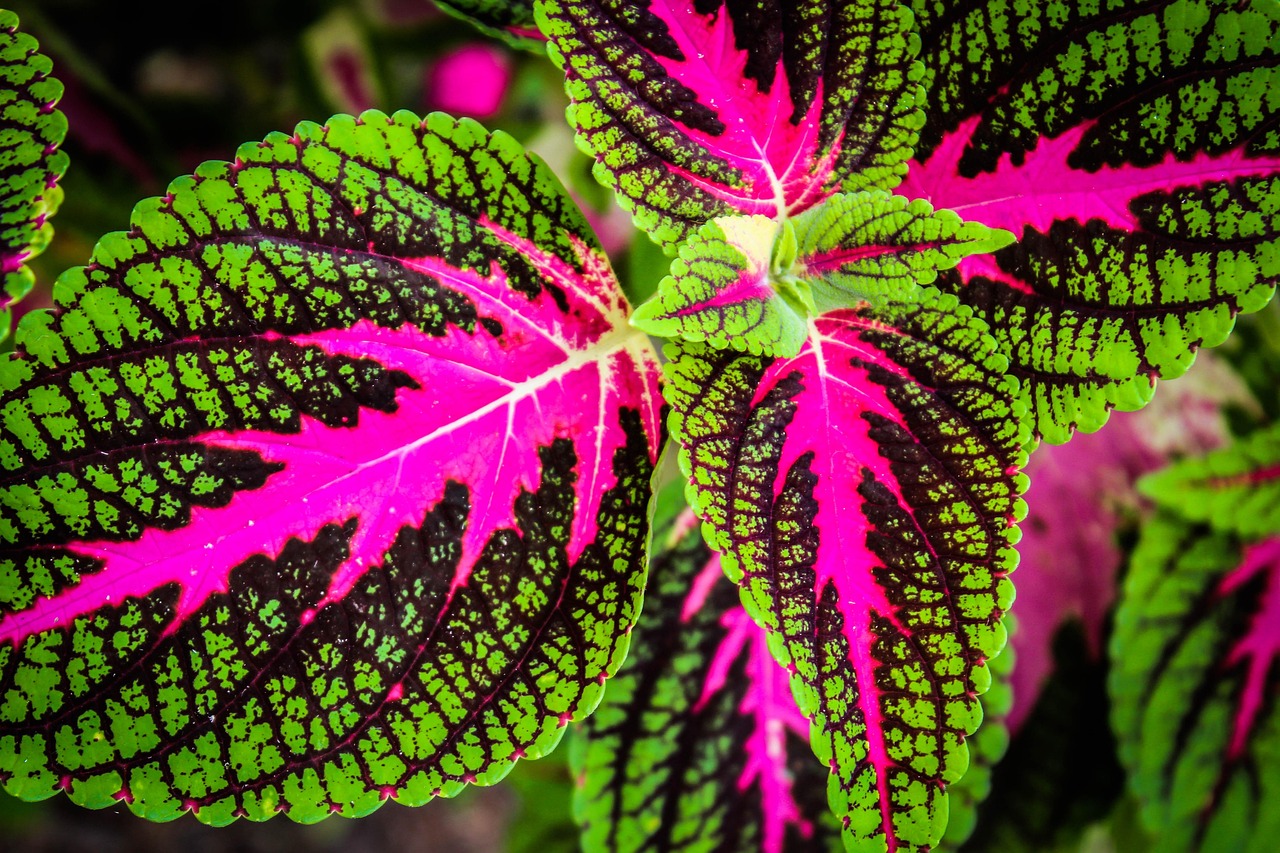 少人数婚は何人から始めるのが理想ですか？