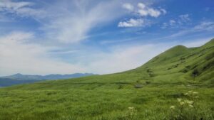 福岡での神前式挙式に関する口コミはどこで見られる？
